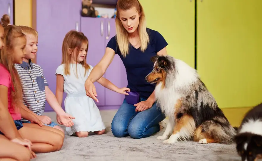 Dogoterapia - Jak działa i kiedy warto? Twój przewodnik