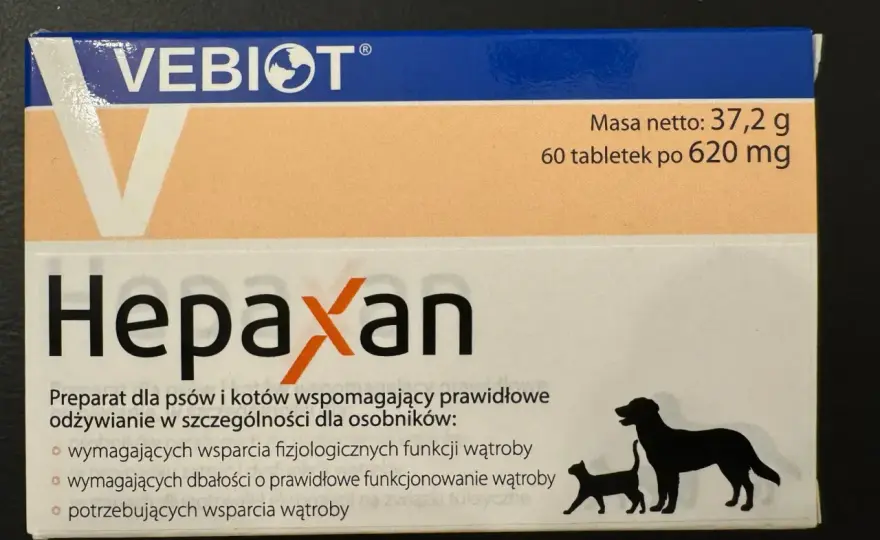 Hepaxan dla psa i kota - Jak dawkować i kiedy wspiera wątrobę?