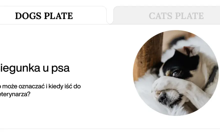 Luźny stolec u psa - jak pomóc i kiedy jechać do lekarza?
