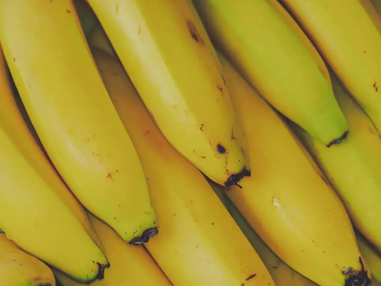 Kupka żółtych bananów. Zastanawiasz się, czy koty mogą jeść banany? Te owoce są bogate w potas i witaminy.