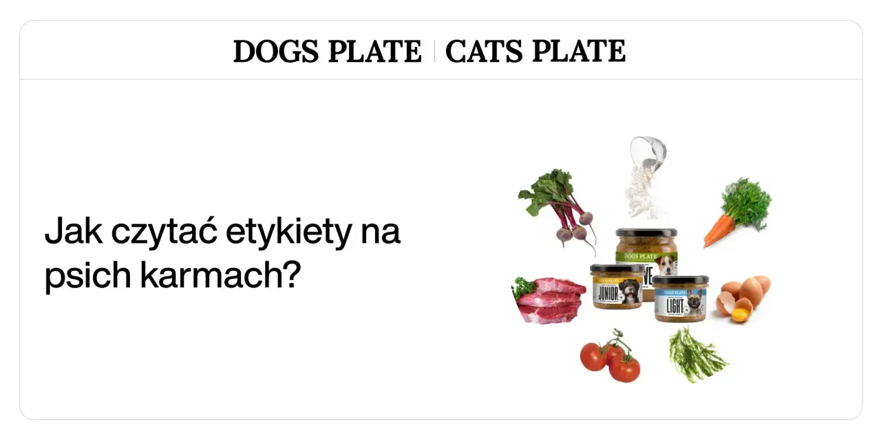 Dobra karma dla psa to klucz do jego zdrowia. Na zdjęciu składniki i etykiety karm.