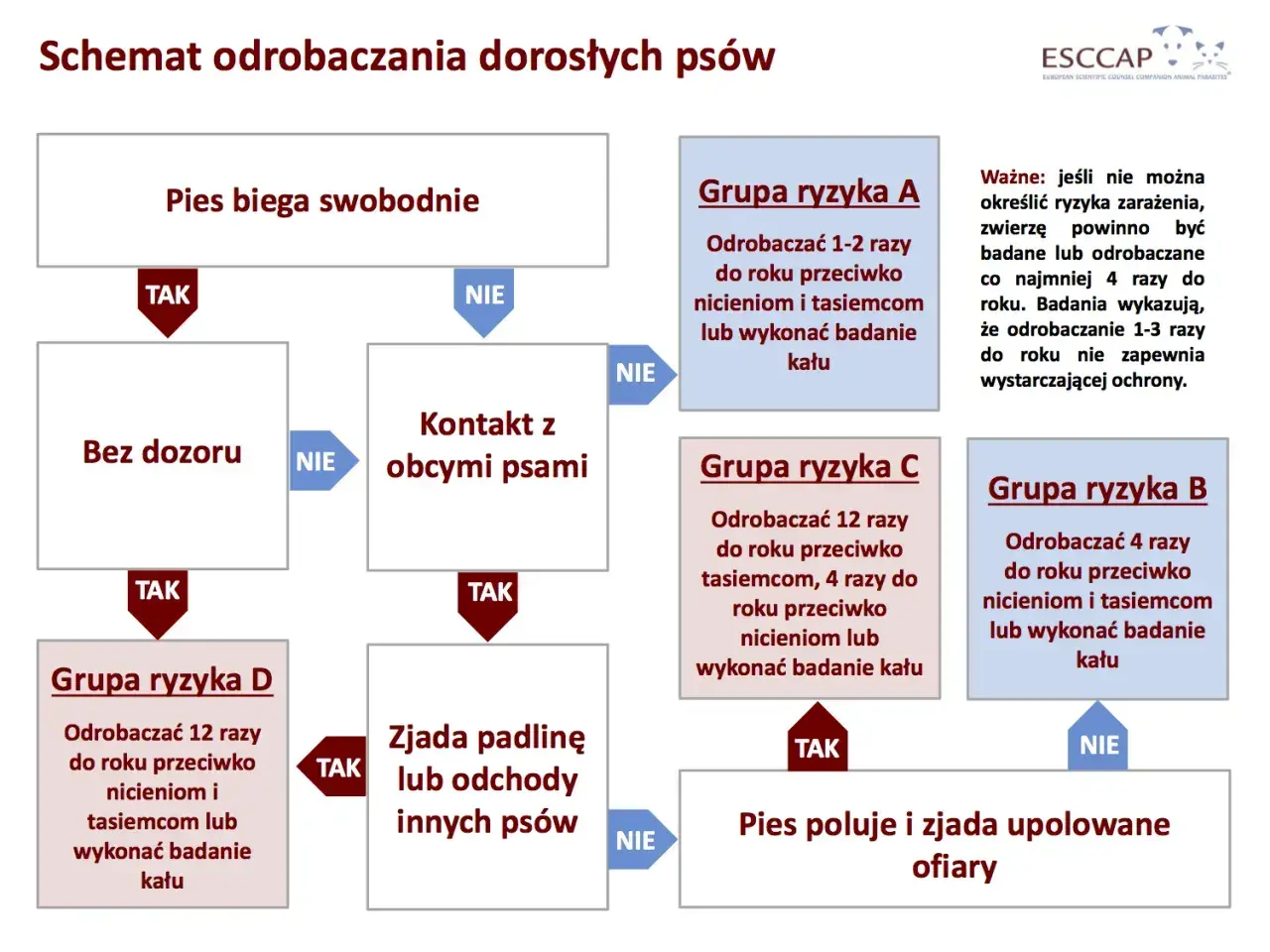 Schemat odrobaczania psów: jak często odrobaczać psa zależy od jego stylu życia i kontaktu z innymi zwierzętami.