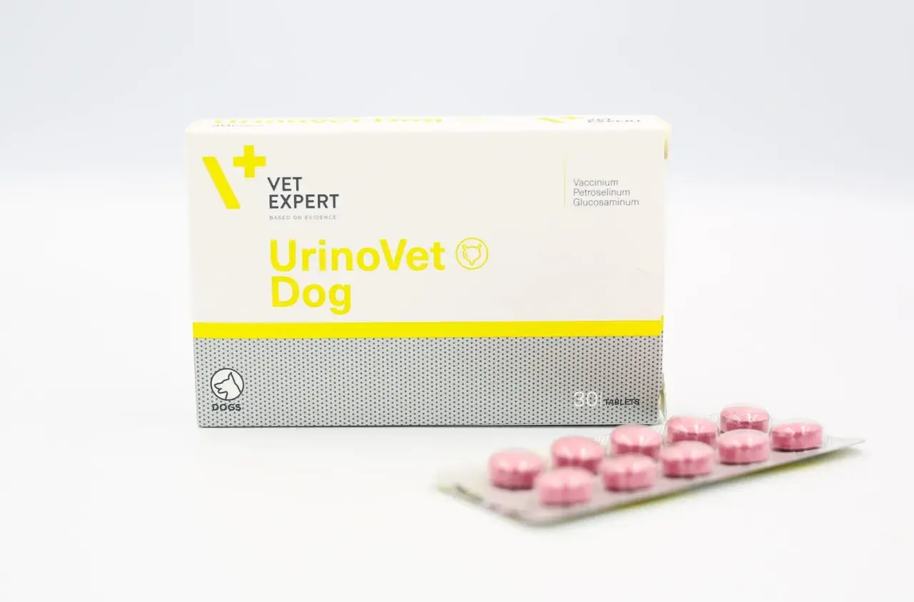 Opakowanie UrinoVet Dog z tabletkami. Preparat dla psów wspierający układ moczowy.