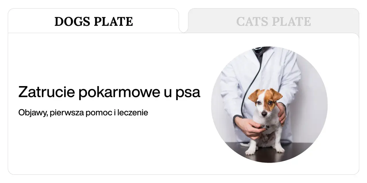 Weterynarz bada psa, który może mieć objawy zatrucia pokarmowego.