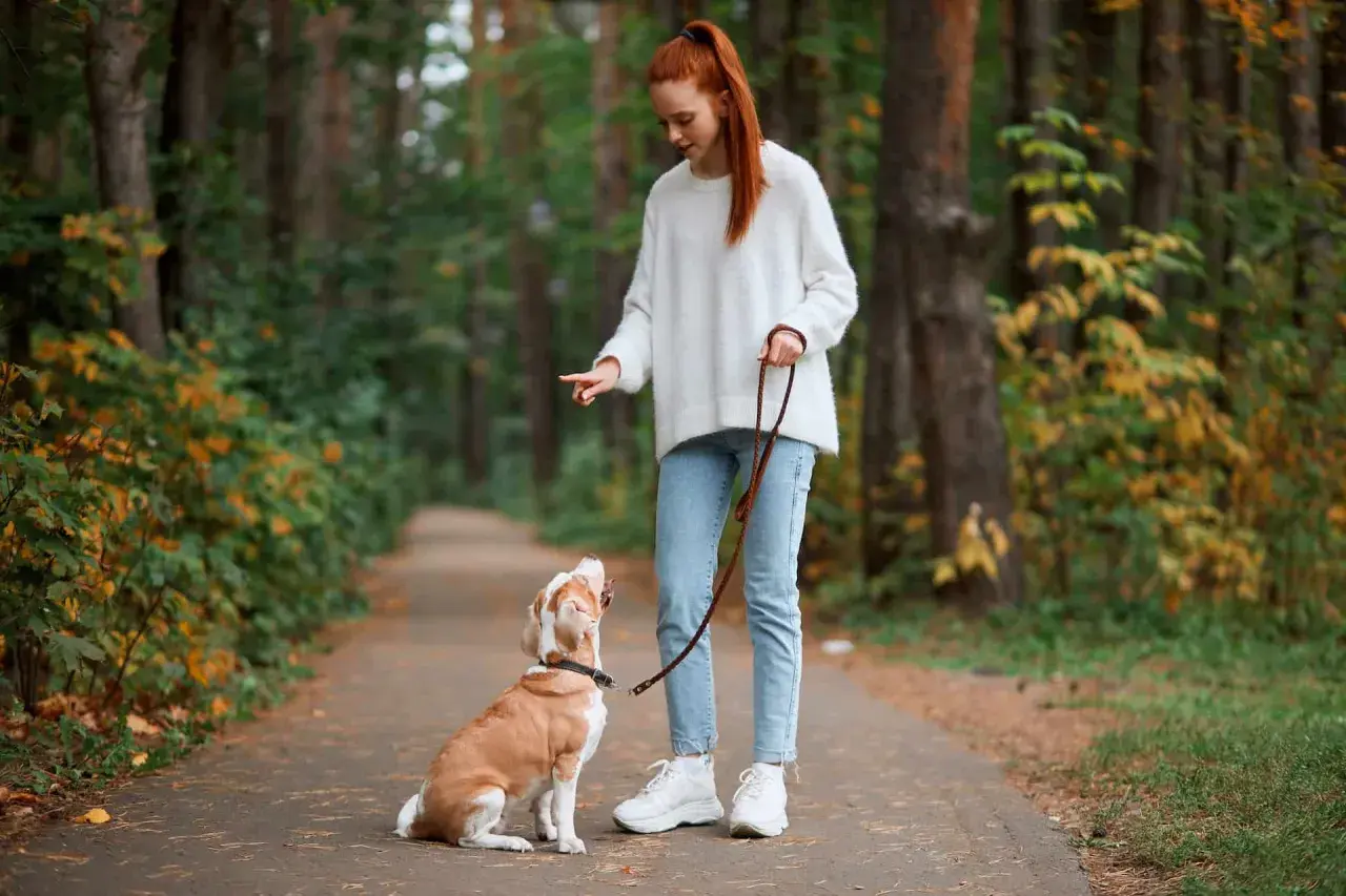Dziewczyna uczy psa chodzić na smyczy w lesie. Pies siedzi, patrząc na nią z uwagą.