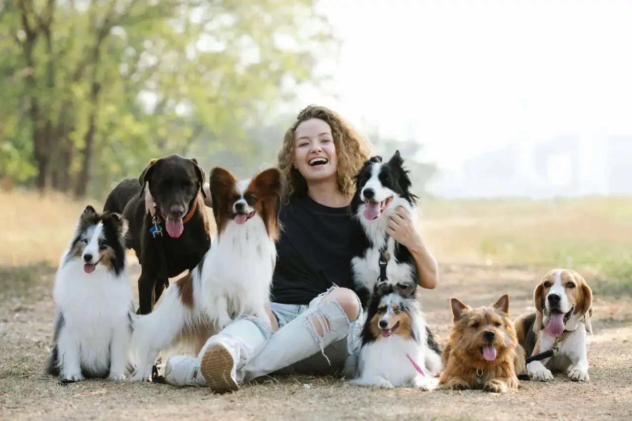Uśmiechnięta kobieta z grupą psów. Wśród nich rasy psów średnich: border collie, sheltie, papillon, beagle i inne.