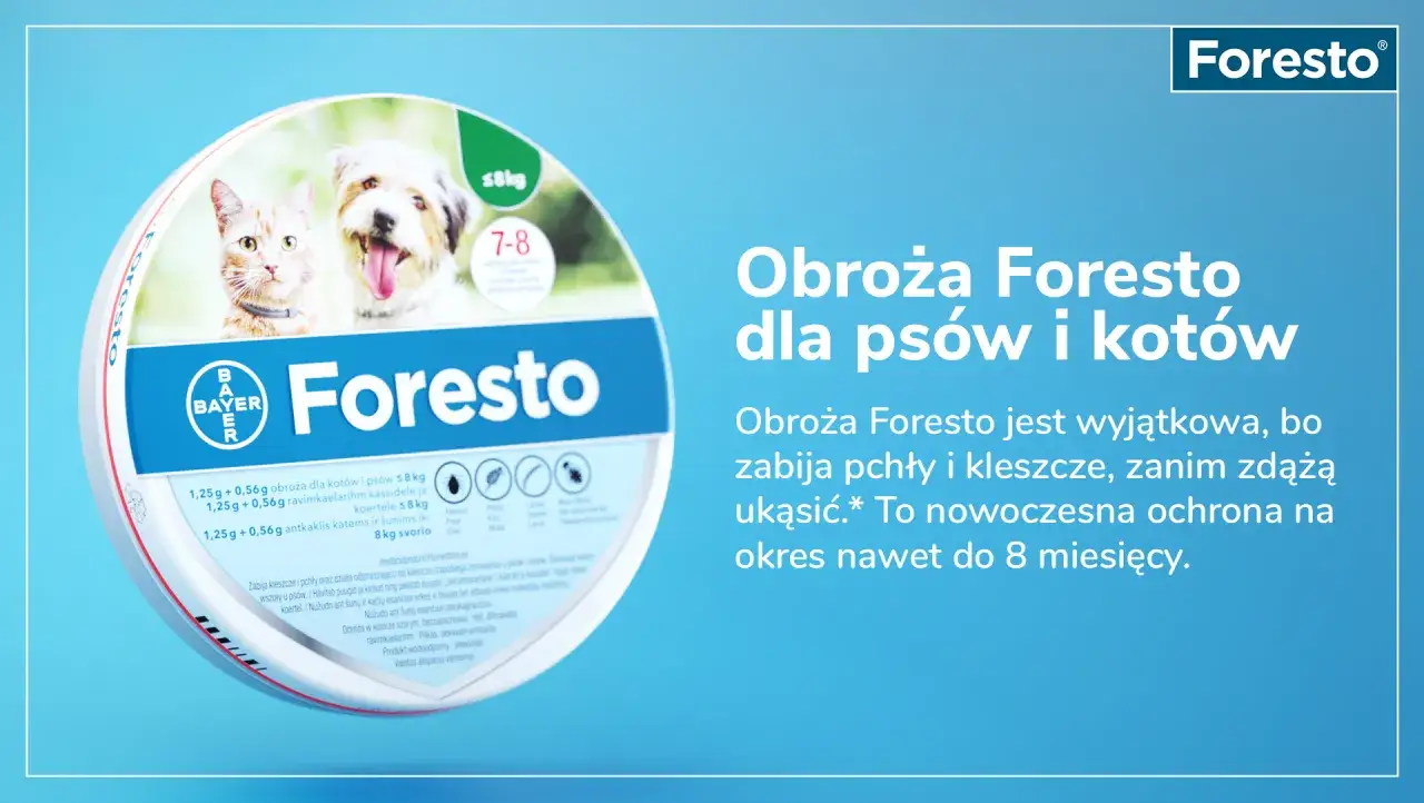 Zdjęcie Obroża Foresto gdzie kupić – najlepsze sklepy i ceny online
