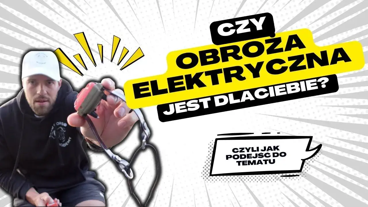 Zdjęcie Czy obroża elektryczna jest legalna? Kontrowersje i skutki użycia